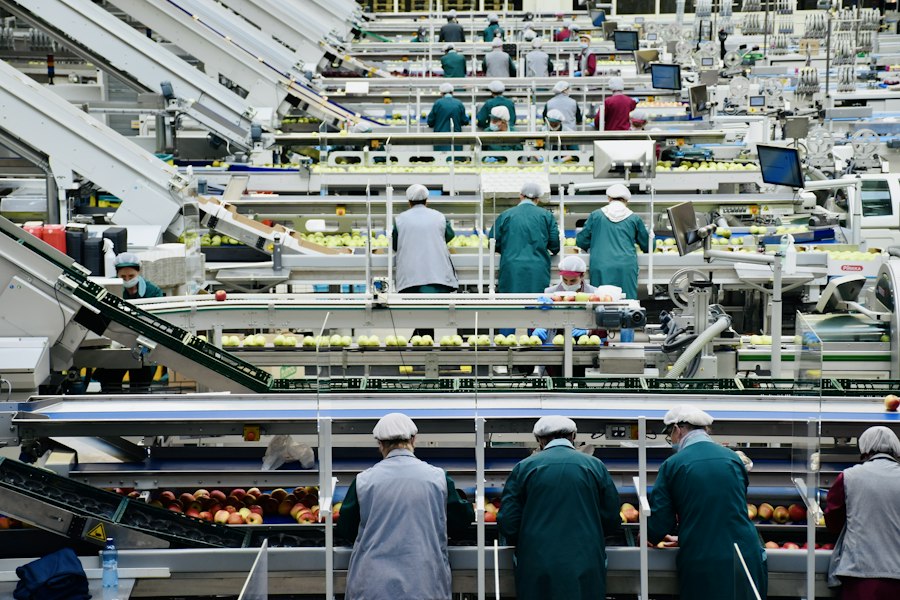 Sorteer- en verpakkingslijn voor fruit